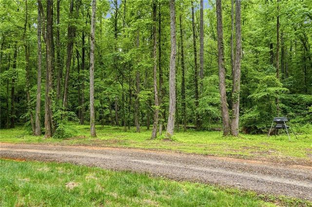 580A Eagles Perch Road, Ball Ground, GA 30107
