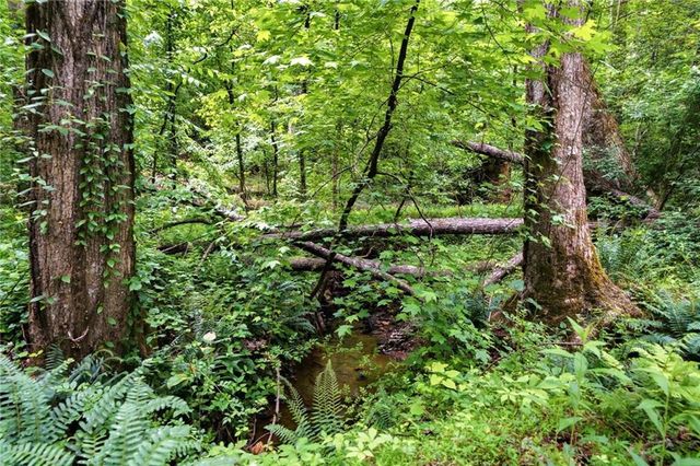 580A Eagles Perch Road, Ball Ground, GA 30107