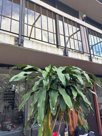 3190 Bird Ave 15, Coconut Grove, FL 33133