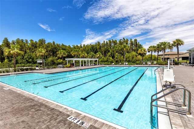 32804 BROOKS HAWK LN, Wesley Chapel, FL 33543