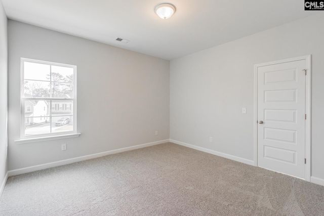 345 Rising Stream Way, Chapin, SC 29036