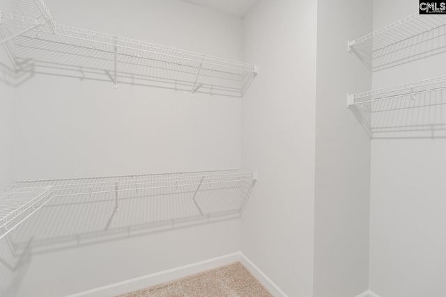 345 Rising Stream Way, Chapin, SC 29036