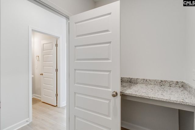 345 Rising Stream Way, Chapin, SC 29036