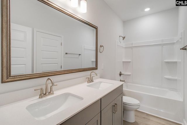 345 Rising Stream Way, Chapin, SC 29036