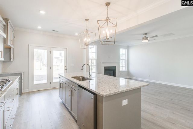 345 Rising Stream Way, Chapin, SC 29036