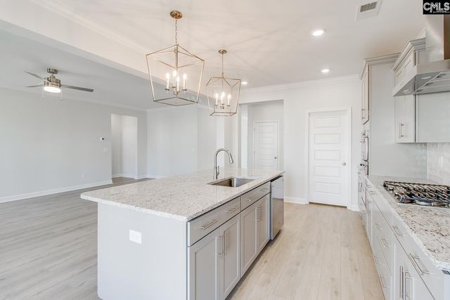 345 Rising Stream Way, Chapin, SC 29036