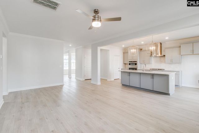 345 Rising Stream Way, Chapin, SC 29036