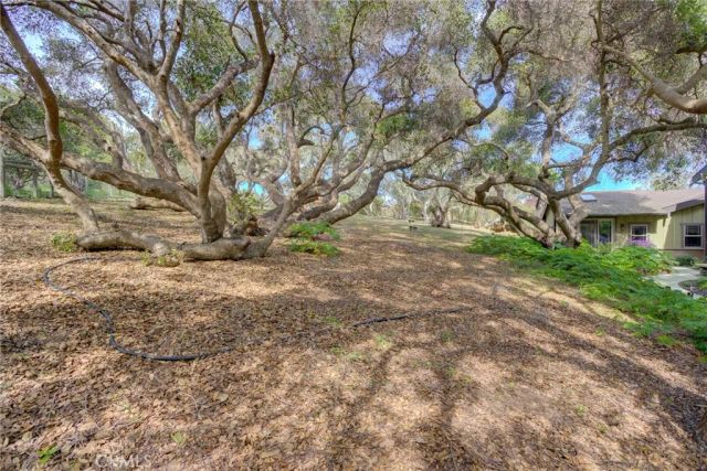 1785 Martingale Ave. Avenue, Los Osos, CA 93402