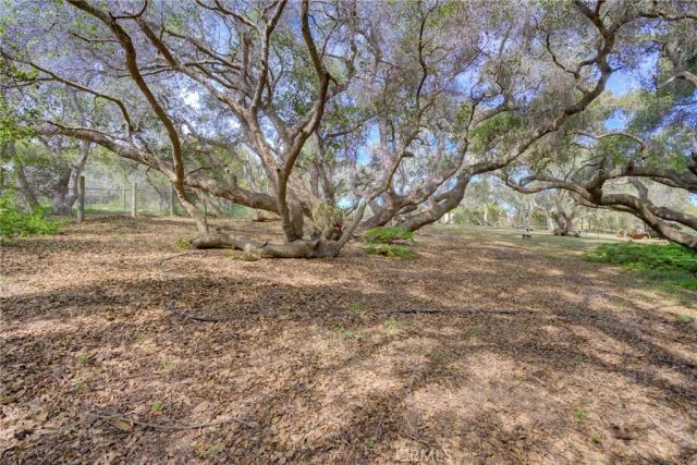 1785 Martingale Ave. Avenue, Los Osos, CA 93402