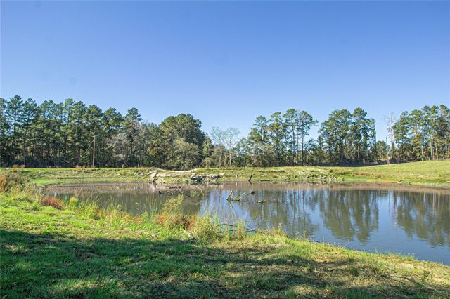 1275 Castlewood Road, Livingston, TX 77351