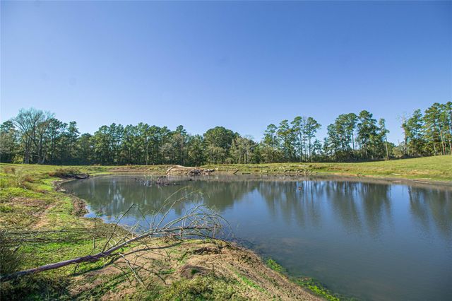 1275 Castlewood Road, Livingston, TX 77351