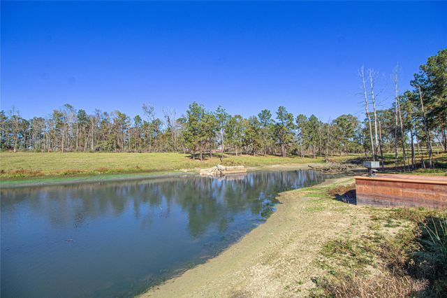 1275 Castlewood Road, Livingston, TX 77351