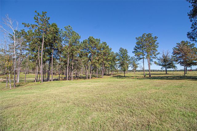 1275 Castlewood Road, Livingston, TX 77351