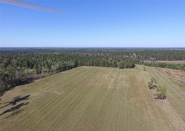 1275 Castlewood Road, Livingston, TX 77351