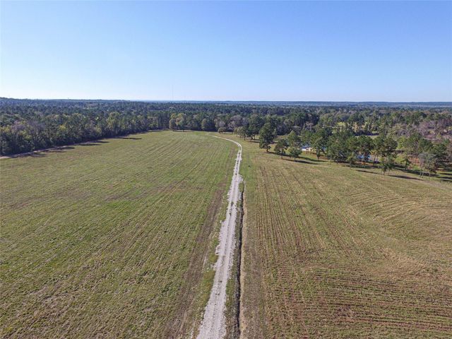 1275 Castlewood Road, Livingston, TX 77351