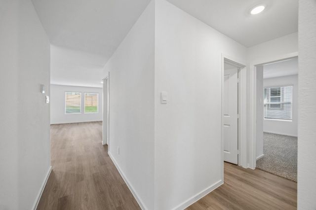 11822 Serenas Song Drive, Willis, TX 77318