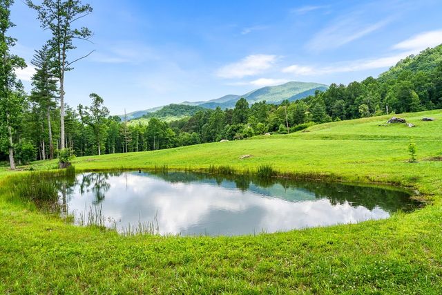 1446 Muskrat Creek Road, Hayesville, NC 28904