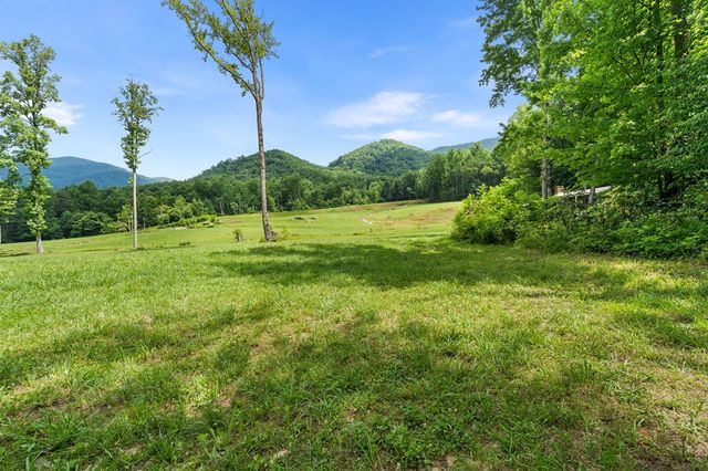 1446 Muskrat Creek Road, Hayesville, NC 28904