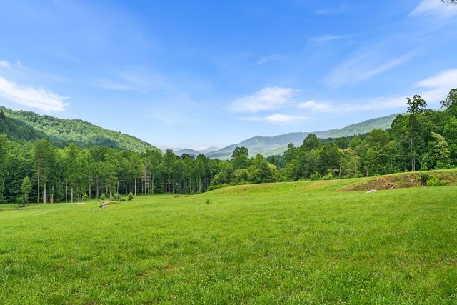 1446 Muskrat Creek Road, Hayesville, NC 28904