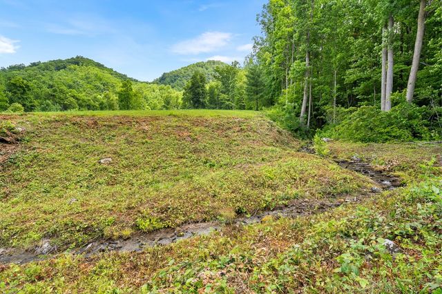 1446 Muskrat Creek Road, Hayesville, NC 28904