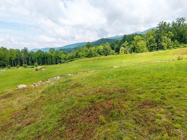 1446 Muskrat Creek Road, Hayesville, NC 28904