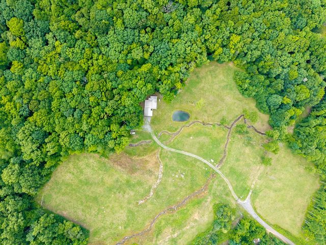 1446 Muskrat Creek Road, Hayesville, NC 28904