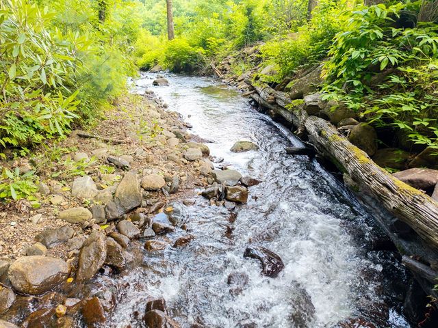 1446 Muskrat Creek Road, Hayesville, NC 28904