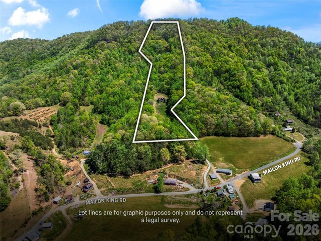 110 Mailon King Road, Leicester, NC 28748