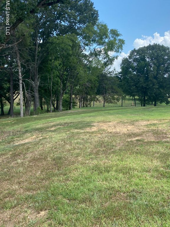 0 Hunters Walk Cove, Hernando, MS 38632 — photo 2