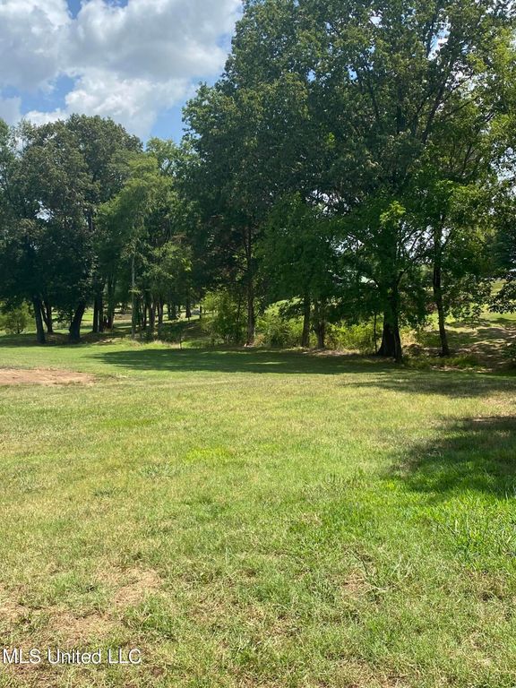 0 Hunters Walk Cove, Hernando, MS 38632 — photo 3