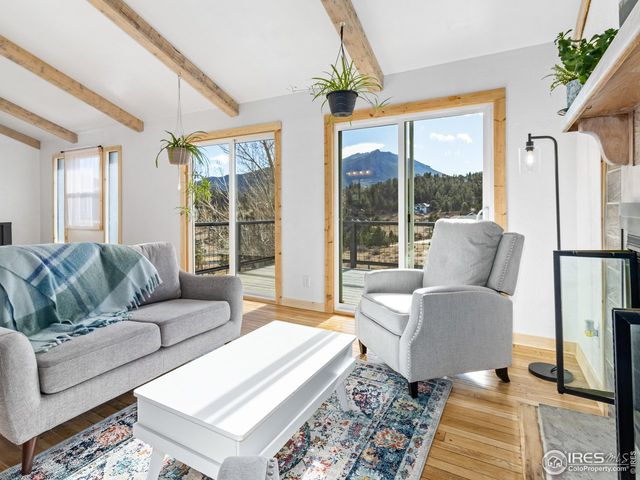 1873 Ranch Cir, Estes Park, CO 80517