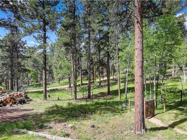 11135 Kennedy Ave, Conifer, CO 80433