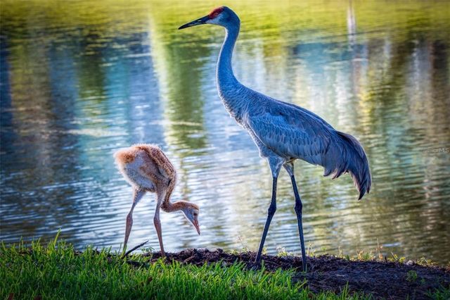 515 MIDWAY DRIVE A, Ocala, FL 34472