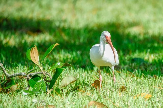 515 MIDWAY DRIVE A, Ocala, FL 34472