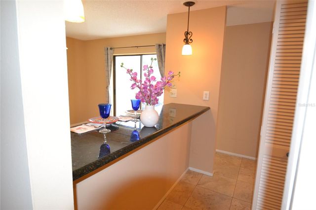 130 TADS TRAIL, Oldsmar, FL 34677