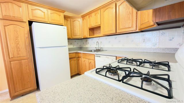 98 Whistler Court 98, Middle Island, NY 11953