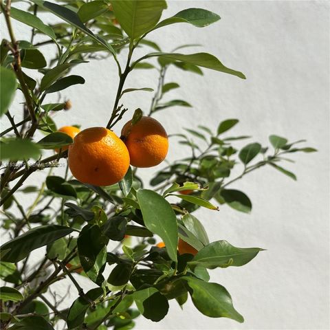 710 NE 72nd Ter, Miami, FL 33138