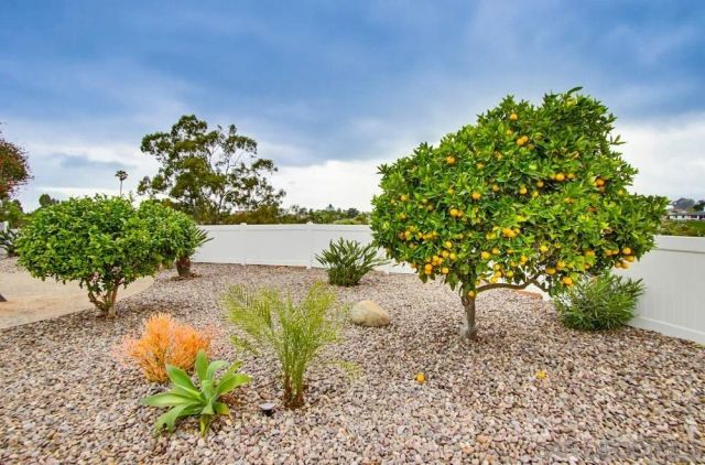 3052 Award Row, San Diego, CA 92122