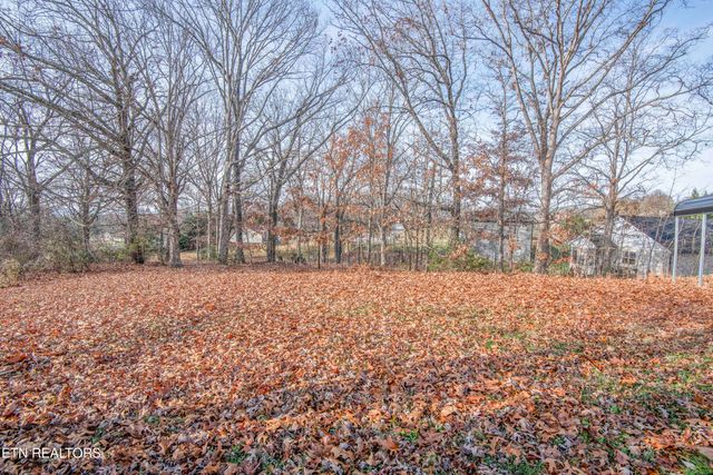 4723 Chesney Meadows Drive, Strawberry Plains, TN 37871