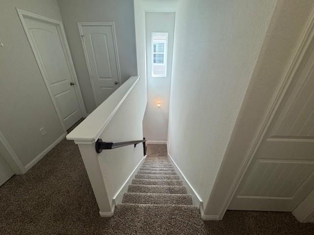 3906 Deledda Drive, Katy, TX 77493