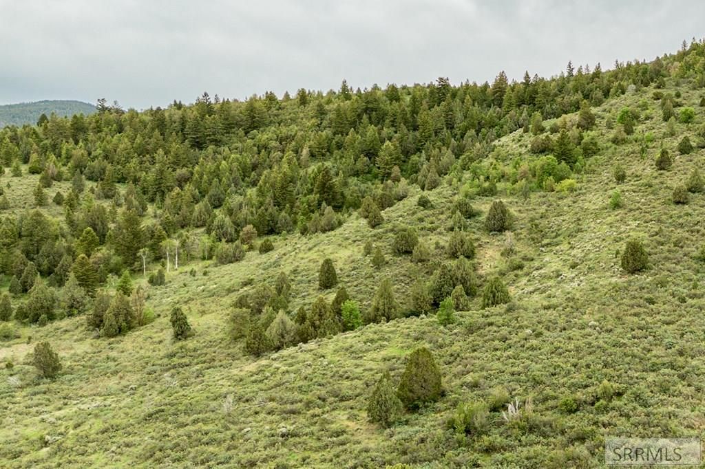 Image 6 of property listing at TBD Victory View, Lava Hot Springs, ID 83246