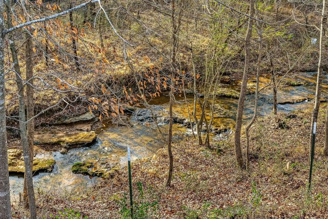 1603 Coon Hunt Rd, Baxter, TN 38544