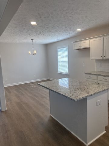 3176 Dusenburg Dr, Christiana, TN 37037