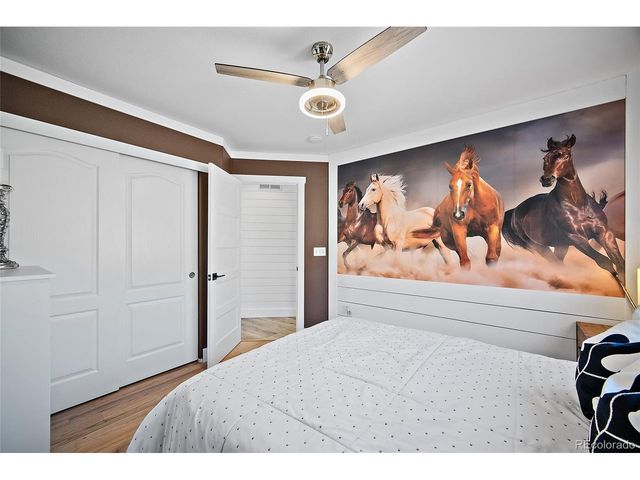 1978 Trailblazer Way, Castle Rock, CO 80109