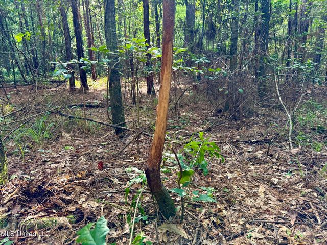 000 Hwy 395, Noxapater, MS 39346
