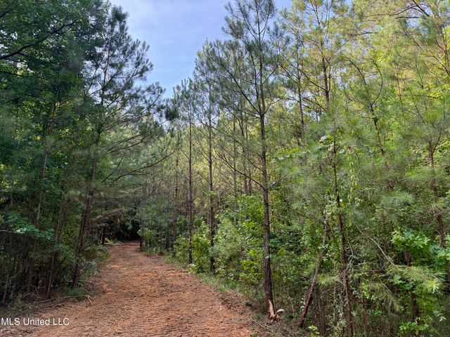 000 Hwy 395, Noxapater, MS 39346