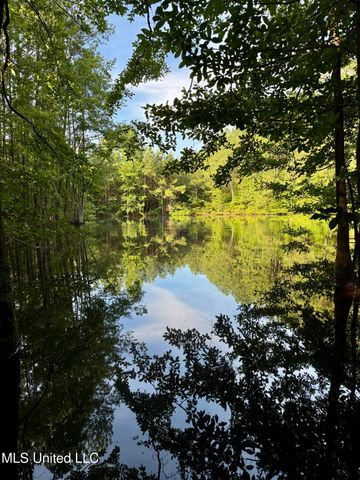 000 Hwy 395, Noxapater, MS 39346