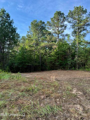 000 Hwy 395, Noxapater, MS 39346