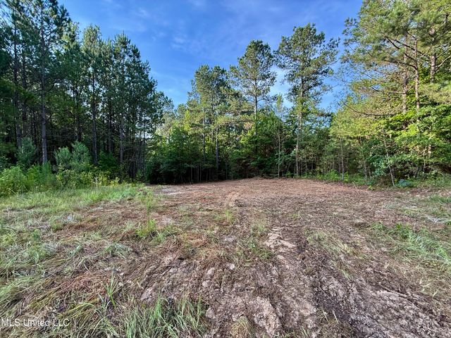 000 Hwy 395, Noxapater, MS 39346