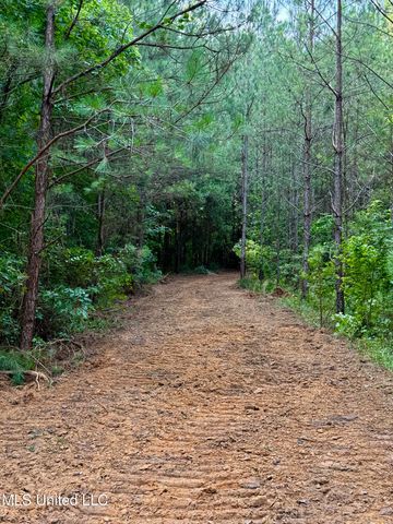 000 Hwy 395, Noxapater, MS 39346